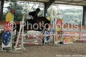 Poney_1_CSO_16h14_084.jpg
