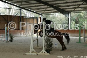 Poney_1_CSO_16h14_085.jpg