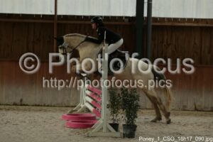 Poney_1_CSO_16h17_090.jpg