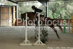 Poney_1_CSO_16h23_096.jpg