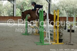 Poney_1_CSO_16h23_099.jpg