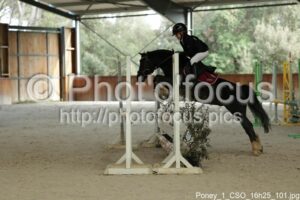Poney_1_CSO_16h25_101.jpg