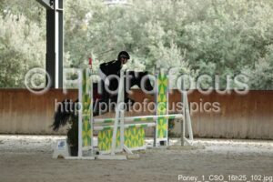 Poney_1_CSO_16h25_102.jpg