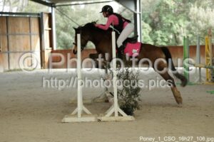 Poney_1_CSO_16h27_106.jpg