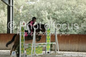 Poney_1_CSO_16h27_107.jpg