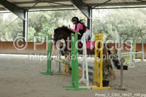 Poney_1_CSO_16h27_108.jpg