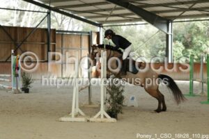 Poney_1_CSO_16h28_110.jpg