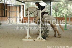 Poney_1_CSO_16h30_115.jpg