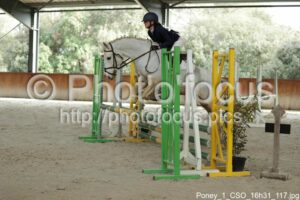 Poney_1_CSO_16h31_117.jpg