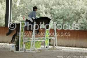 Poney_1_CSO_16h32_120.jpg