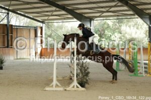 Poney_1_CSO_16h34_122.jpg