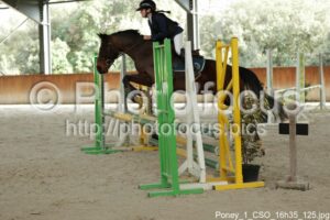 Poney_1_CSO_16h35_125.jpg