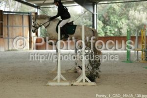 Poney_1_CSO_16h38_130.jpg