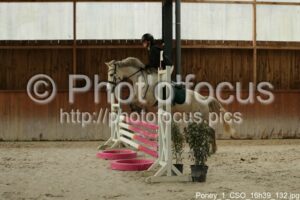 Poney_1_CSO_16h39_132.jpg