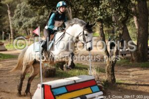 Poney_1_Cross_09h17_003.jpg