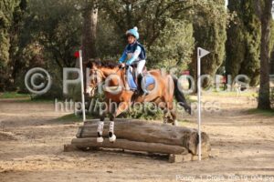 Poney_1_Cross_09h19_004.jpg
