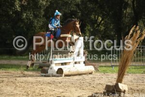 Poney_1_Cross_09h21_101.jpg