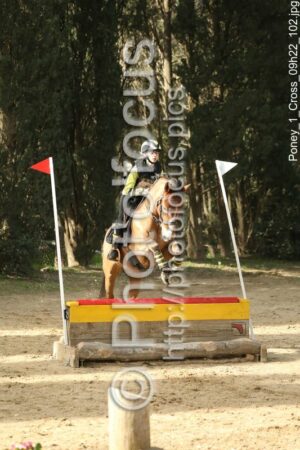 Poney_1_Cross_09h22_102.jpg