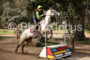 Poney_1_Cross_09h24_012.jpg