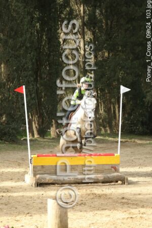 Poney_1_Cross_09h24_103.jpg