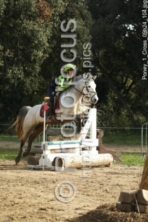 Poney_1_Cross_09h24_104.jpg