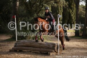 Poney_1_Cross_09h26_013.jpg