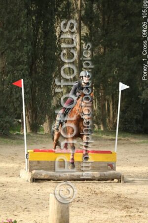 Poney_1_Cross_09h26_105.jpg