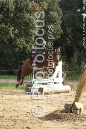 Poney_1_Cross_09h27_106.jpg