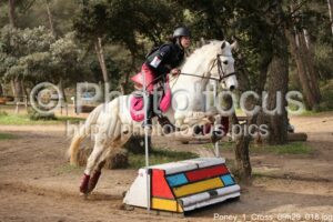 Poney_1_Cross_09h29_018.jpg