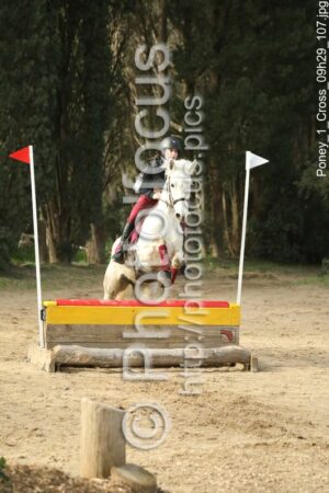 Poney_1_Cross_09h29_107.jpg