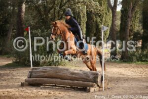 Poney_1_Cross_09h30_019.jpg