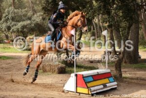 Poney_1_Cross_09h31_021.jpg