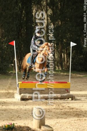 Poney_1_Cross_09h31_108.jpg