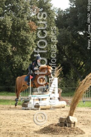 Poney_1_Cross_09h32_109.jpg