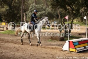 Poney_1_Cross_09h33_026.jpg