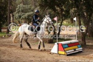 Poney_1_Cross_09h33_027.jpg