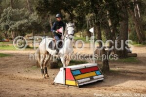 Poney_1_Cross_09h33_028.jpg