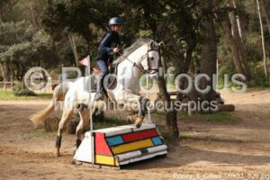 Poney_1_Cross_09h33_029.jpg