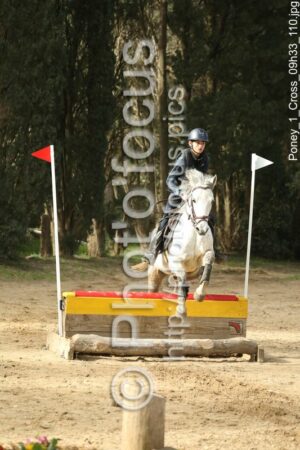 Poney_1_Cross_09h33_110.jpg
