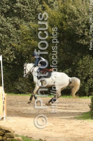 Poney_1_Cross_09h33_111.jpg