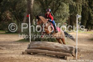 Poney_1_Cross_09h36_033.jpg