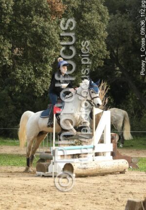Poney_1_Cross_09h36_112.jpg