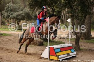 Poney_1_Cross_09h37_035.jpg