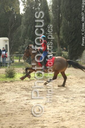 Poney_1_Cross_09h37_114.jpg