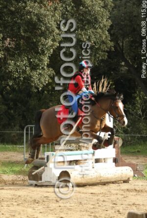 Poney_1_Cross_09h38_115.jpg