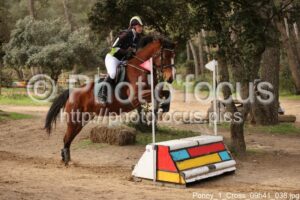 Poney_1_Cross_09h41_038.jpg