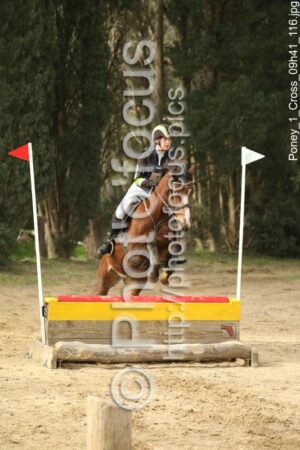 Poney_1_Cross_09h41_116.jpg