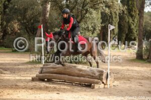 Poney_1_Cross_09h42_039.jpg