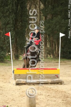 Poney_1_Cross_09h42_118.jpg
