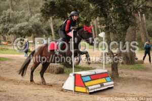 Poney_1_Cross_09h43_041.jpg